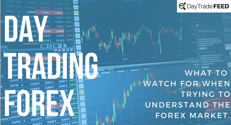 What drives forex markets